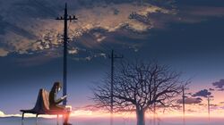 Post 16357