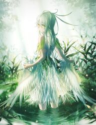Post 1783113