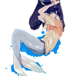 Post 1796856