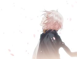 Post 1809854