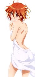 Post 1820733