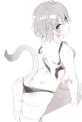 Post 1854166