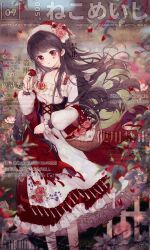 Post 5774102