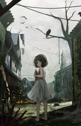 Post 1899675
