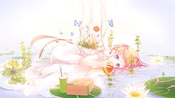 Post 1903409