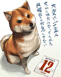 Post 1921275