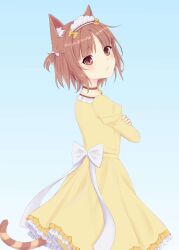 Post 6545148
