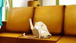 Post 1937161
