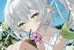 Post 6945477