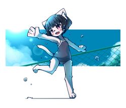 Post 1954203