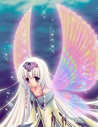 Post 1957934