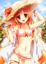 Post 2001049