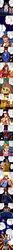 Post 2003065