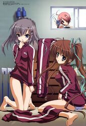 Post 2003089