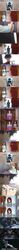 Post 2003204