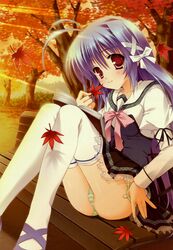 Post 2003075