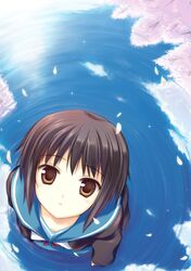 Post 2005403