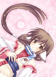 Post 2005089