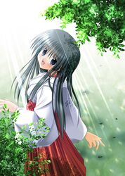 Post 2005182