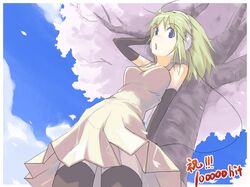 Post 2005514