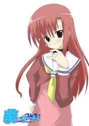 Post 2006096
