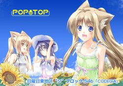 Post 2007620