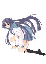 Post 2007643