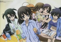Post 2008725