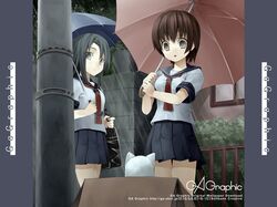 Post 2011252