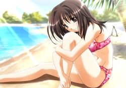 Post 192442