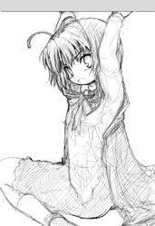 Post 2022553