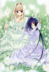 Post 2023184