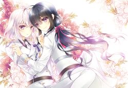 Post 2037216