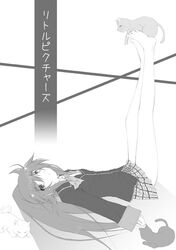 Post 2047982