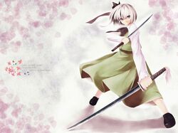 Post 2050335