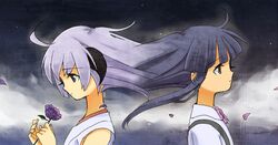 Post 2050960