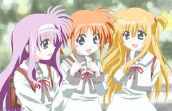 Post 2054616