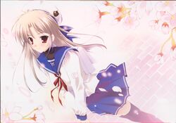 Post 2055121