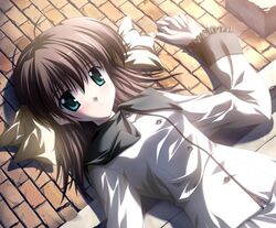 Post 2055504