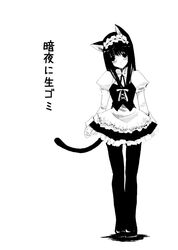 Post 2059465