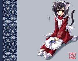 Post 2062643