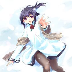 Post 2065305