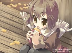 Post 2066938