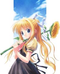 Post 2072161