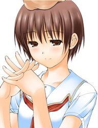 Post 2073104