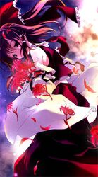 Post 2074606
