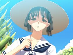 Post 2076525