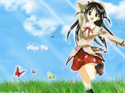 Post 2077832