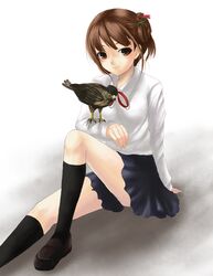 Post 2078174