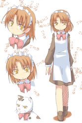 Post 2079051